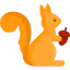 Squirrel icon 64x64
