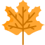 Maple leaf icon 64x64