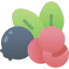 Berries icon 64x64