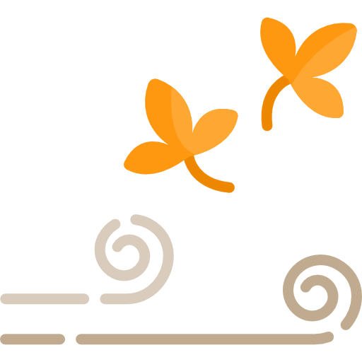 Wind icon