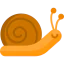 Snail icon 64x64
