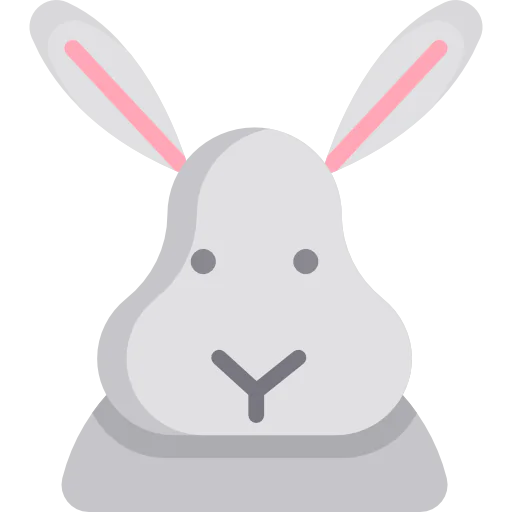 Rabbit biểu tượng