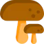 Mushroom icon 64x64