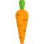 Carrot icon 64x64