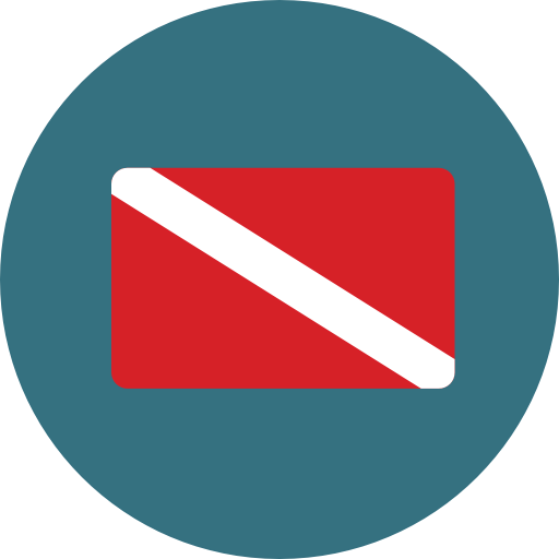 Flag icon
