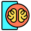 Brain icon 64x64