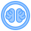 Brain icon 64x64