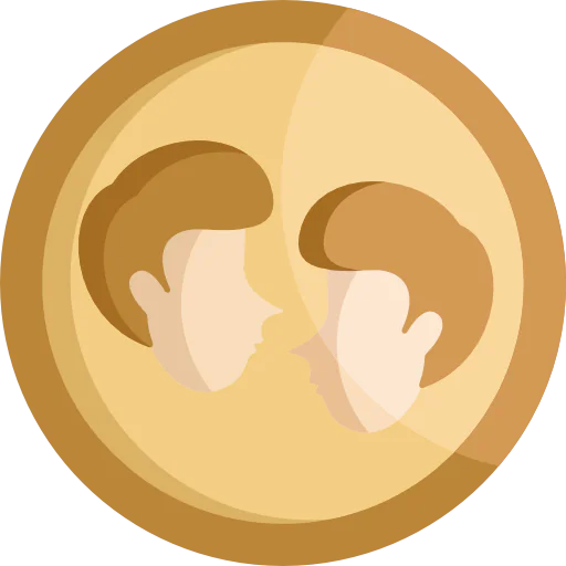 Gemini icon