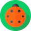 Ladybug icon 64x64