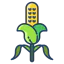Corn icon 64x64