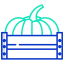 Pumpkin icon 64x64