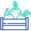 Vegetables icon 64x64