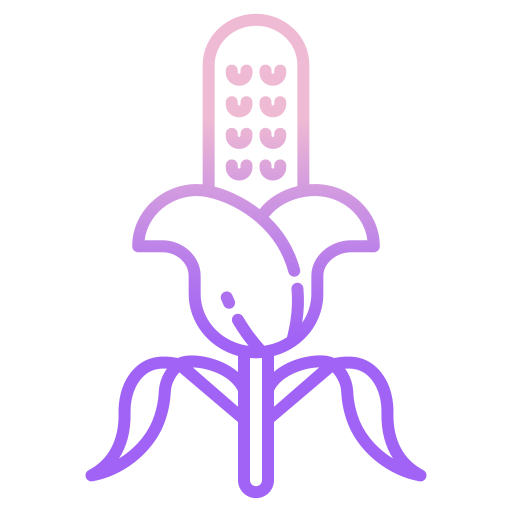 Corn icon