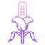 Corn icon 64x64