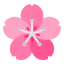 Sakura icône 64x64