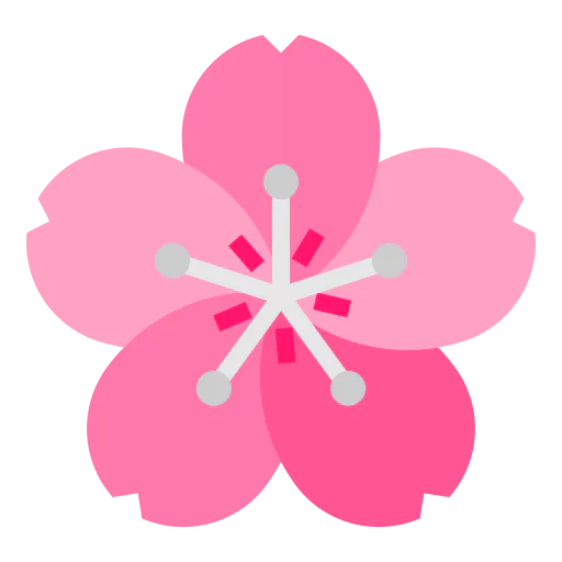 Sakura 상