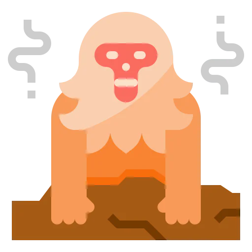 Monkey icon
