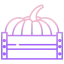Pumpkin icon 64x64
