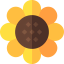 Sunflower Symbol 64x64