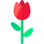 Tulip 图标 64x64