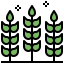 Wheat アイコン 64x64