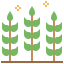 Wheat アイコン 64x64
