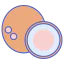 Coconut icon 64x64