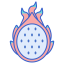 Dragon fruit icon 64x64
