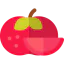 Tomato icon 64x64