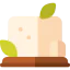 Tofu icône 64x64