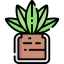 Cactus 图标 64x64