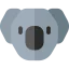 Koala icon 64x64