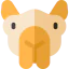 Camel icon 64x64