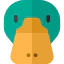 Duck icon 64x64
