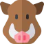 Boar icon 64x64