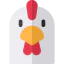 Chicken icon 64x64