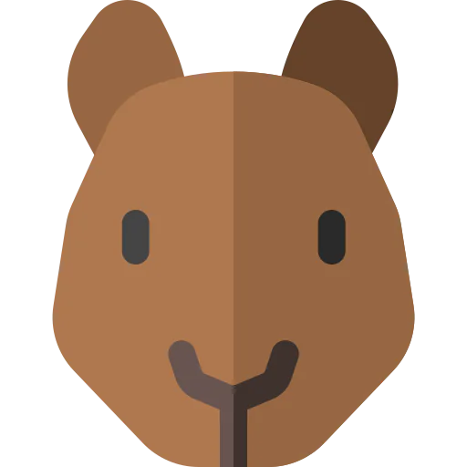 Squirrel icon