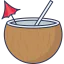 Coconut water icon 64x64