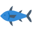 Tuna 图标 64x64