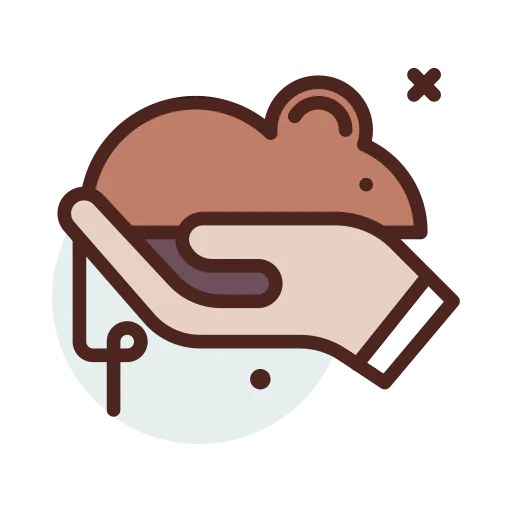 Mouse icon