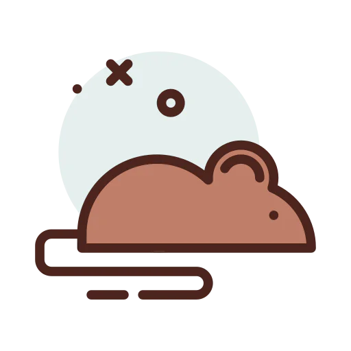 Mouse icon