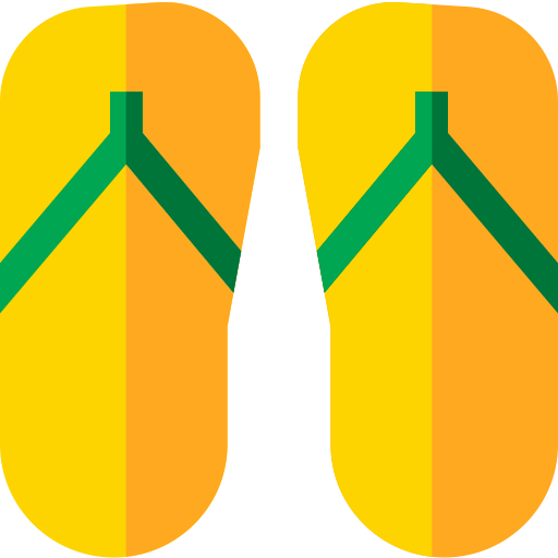 Flip flops icon