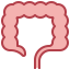 Large intestine icône 64x64