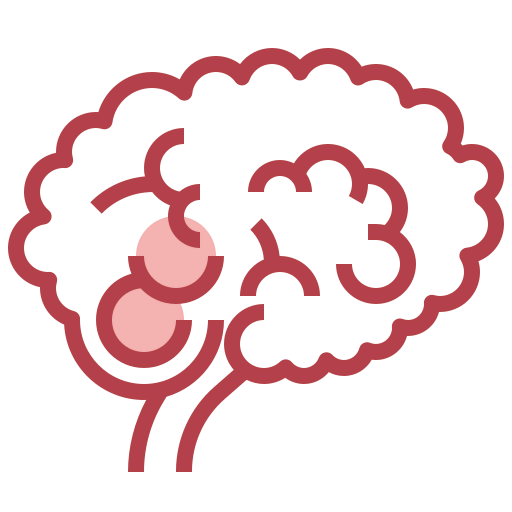 Brain icon