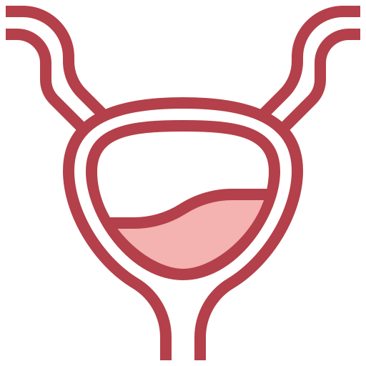 Bladder icon