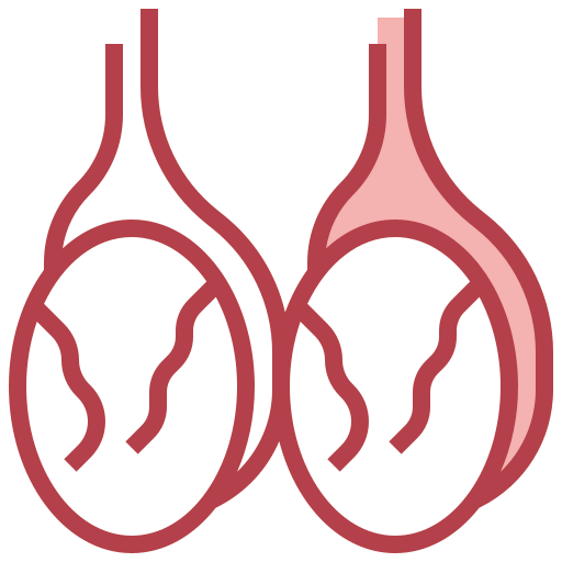 Testicles icon