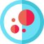 Petri dish icon 64x64