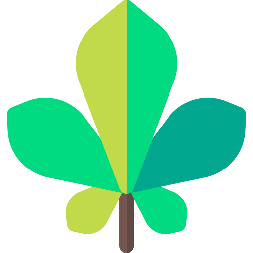 Leaf 상