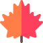 Maple leaf 상 64x64