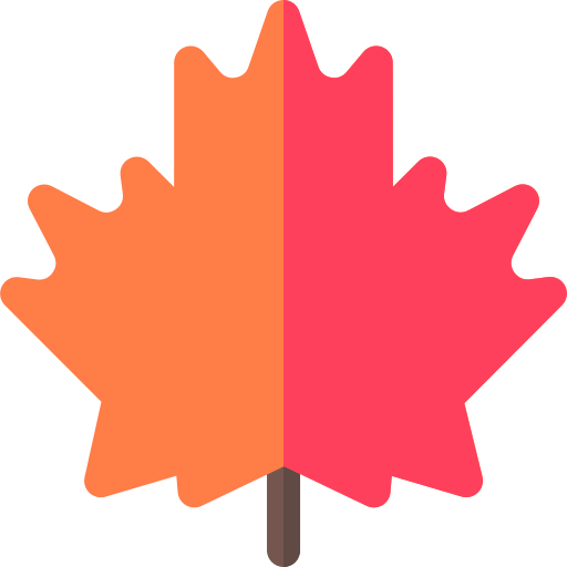 Maple leaf 상